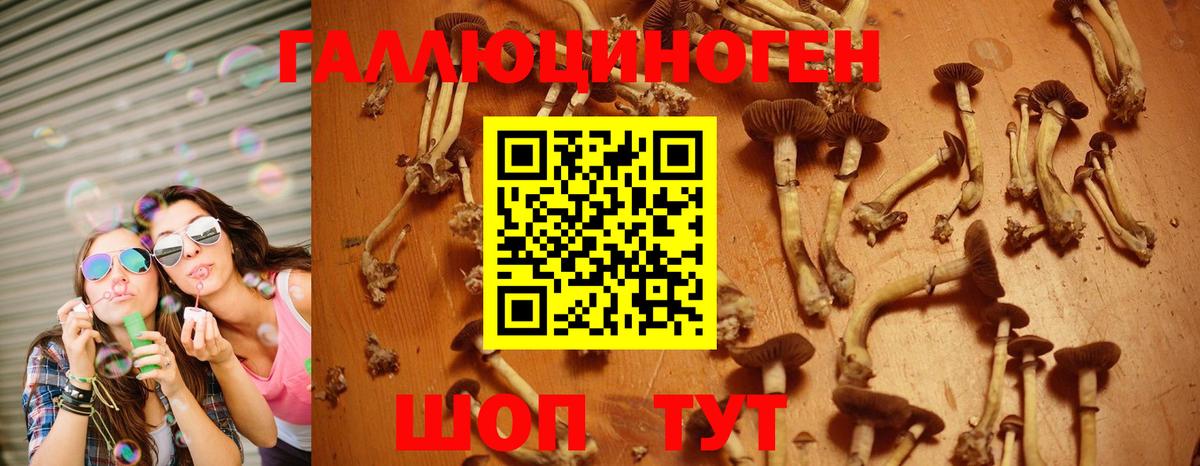 Галлюциногенные грибы прущие грибы  Вход с VPN  Псилоцибиновые грибы Magic Shrooms  Вичуга 